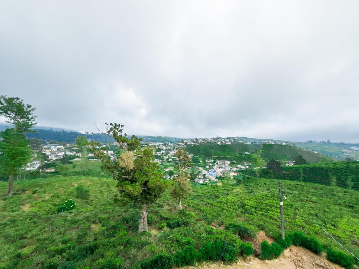 The Mount View Single Tree Hotel Nuwara Eliya Eksteriør billede